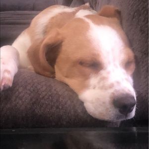 Meet your Posher, Sami